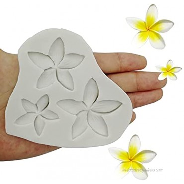 Plumeria Flower Silicone Mold Frangipani Fondant Molds for DIY Chocolate Candy Pudding Gum Paste Cupcake Cake Topper Decoration Desserts Jelly Shots Handmade Crystal Soap Mould