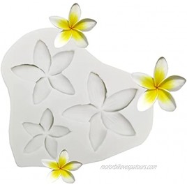 Plumeria Flower Silicone Mold Frangipani Fondant Molds for DIY Chocolate Candy Pudding Gum Paste Cupcake Cake Topper Decoration Desserts Jelly Shots Handmade Crystal Soap Mould