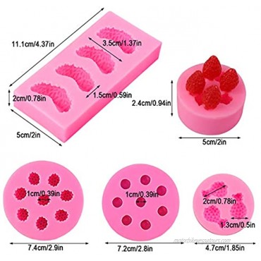 5Pcs Fruit Shaped Jelly Molds 3D Mini Pineapple Strawberry Orange Blueberry Mulberry Candle Silicone Fruit Mold for Cupcake Decorating Soap Chocolate