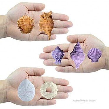 Seashell Sea Urchin Candy Silicone Molds for Fondant Cake Decoration Cupcake Topper Chocolate Soap Polymer Clay Resin Epoxy Concrete Cement Plaster Craft Projects 7-in-set Large