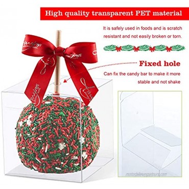 30 Pcs Candy Apple Box with Hole Top Clear Gift Boxes 4”x4”x4” DIY Plastic Boxes for Caramel Apples Ornament Box for Wedding Birthday Party
