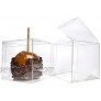 ClearBags 4 x 4 x 4 Candy Apple Box With Hole Top | 25 Boxes | Boxes For Caramel Apples Ornaments Treats Party Favors | Food Safe Material | FS56A