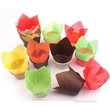 Lawei Set of 200 Tulip Paper Baking Cups Cupcake Liners for Desserts Cakes Muffin