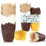 Tulip Cupcake Liners 200PCS Baking Cups Muffin Liners Holders Homienly Muffin Cupcake Wrapper for Wedding Christmas Party Daily Baby Shower 4 Colors