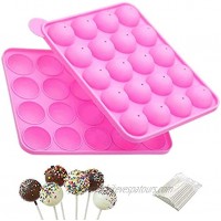 20 Cavity Cake Pop Mold Silicone Baking Set Pink Cake Pop Maker with 100Pcs Pop Sticks