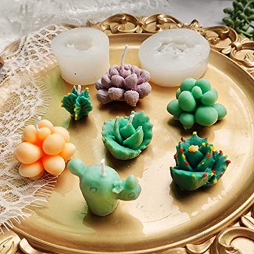 Funshowcase Cactus and Succulent Plant Silicone Molds Set for Epoxy Resin Soap Candle Wax Polymer Clay Concrete Plaster Fondant Cake Decor Chocolate with Beginner Tutorials
