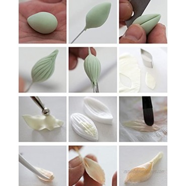 KALAIEN 6pcs set Dahlia Sugar Flower Cutter Set Fondant Cake Sugarcraft Decorating Tools
