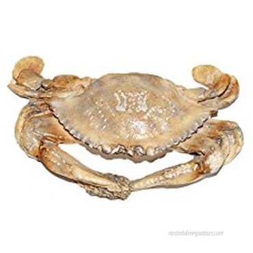 SC135 Crab Mold