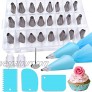 Icing Nozzles WENTS 32pcs Cake Decoration Equipment Including 24 Icing Piping Tips Set 3 Cake Scraper 2 Reusable Piping Bags 2 Converters1 Piping Nails in Storage Case