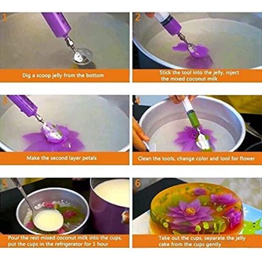 Gelatin Jelly Art Starter Kit,3D Flower Cake Decorating Tool,Set of 20 Piece DIY Needle Tips Pastry Tools