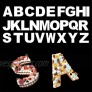 FVVMEED 26 Alphabet Cake Stencils Mold DIY Baking Stencil Flat Plastic Template Cookies Decorating Cutting Letter Outlines Mould Maker Birthday Cakes Design Valentine's Day Anniversary Party 8Inch